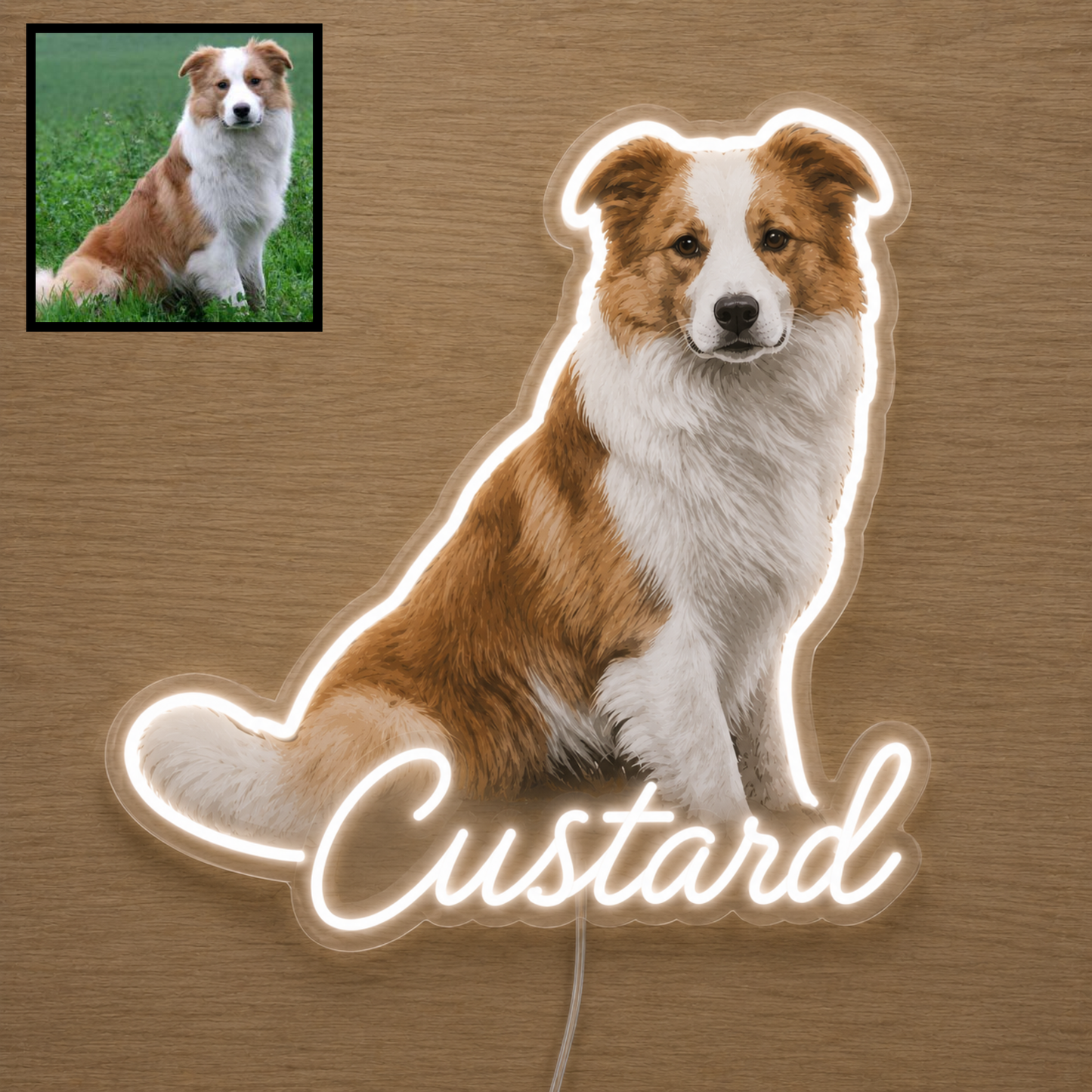 Custom dog name neon sign example featuring a Border Collie design