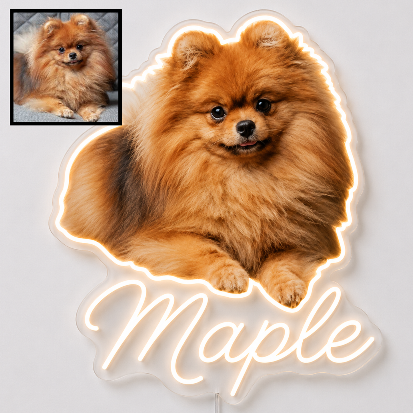 Custom dog name neon sign example featuring a Pomeranian design