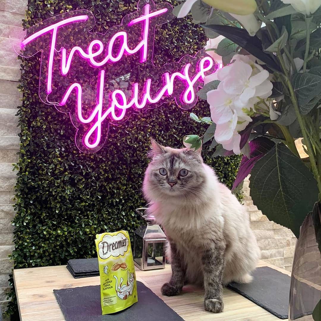 How Small Businesses Are Using Neon Signs to Stand Out and Succeed - Neon Lanes