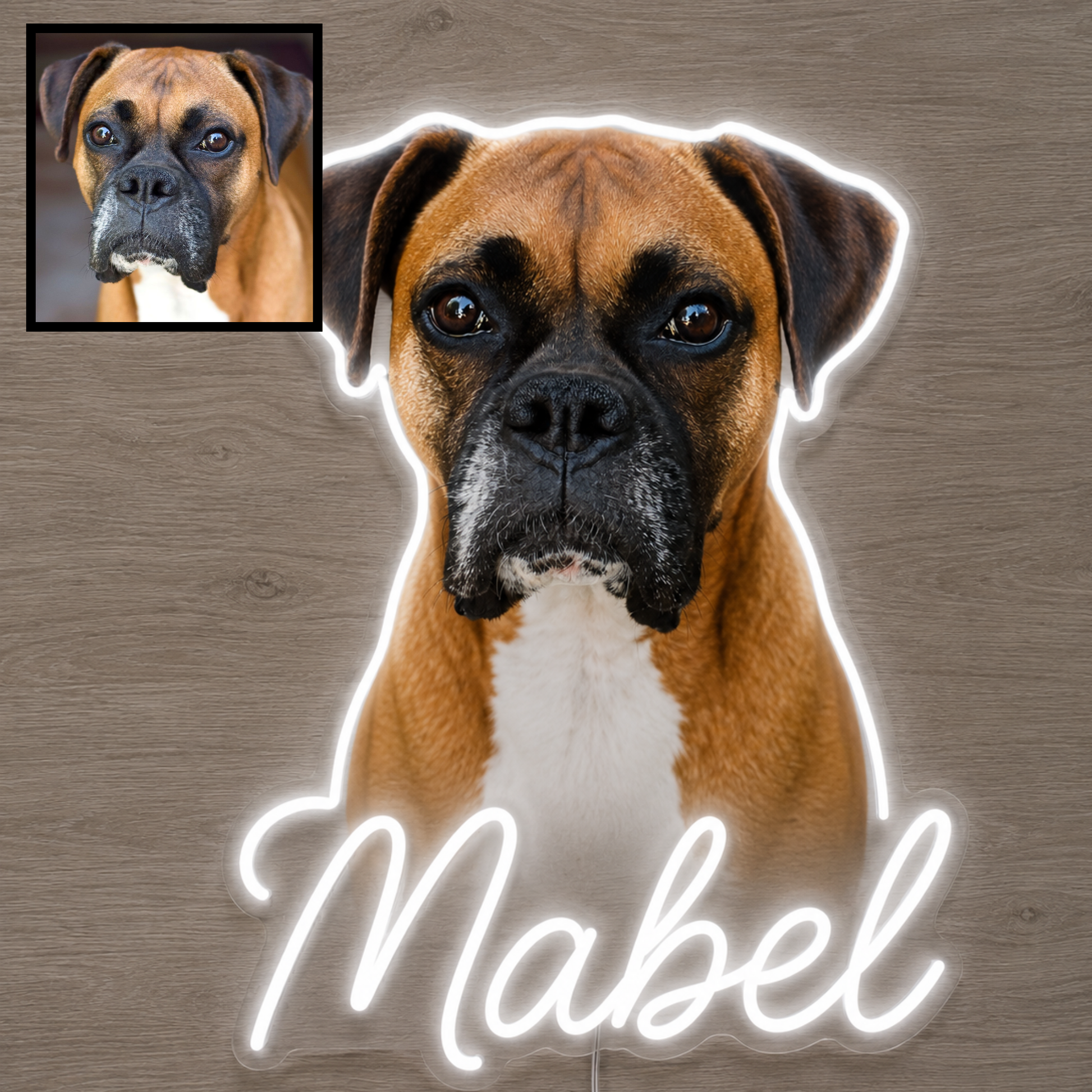Custom dog name neon sign example featuring a Boxer design