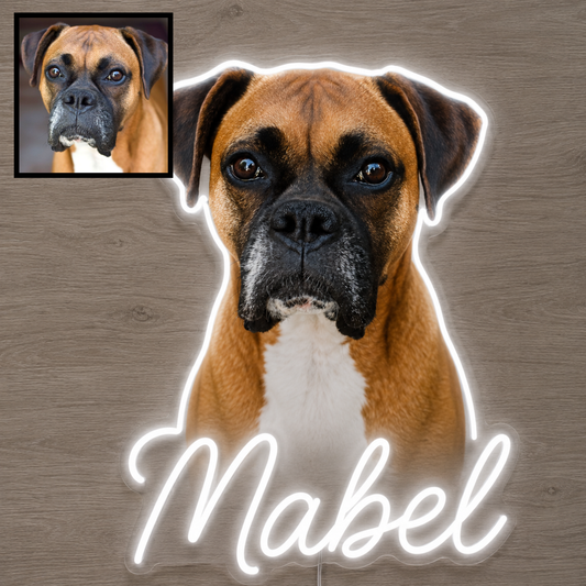 Custom dog name neon sign example featuring a Boxer design