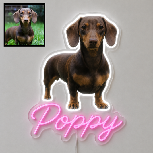 Custom dog name neon sign example featuring a Dachshund design