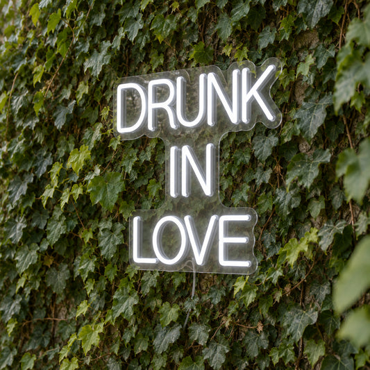 Drunk in Love LED Neon Light Sign product photo 1