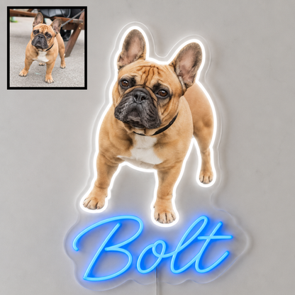 Custom dog name neon sign example featuring a French Bulldog design