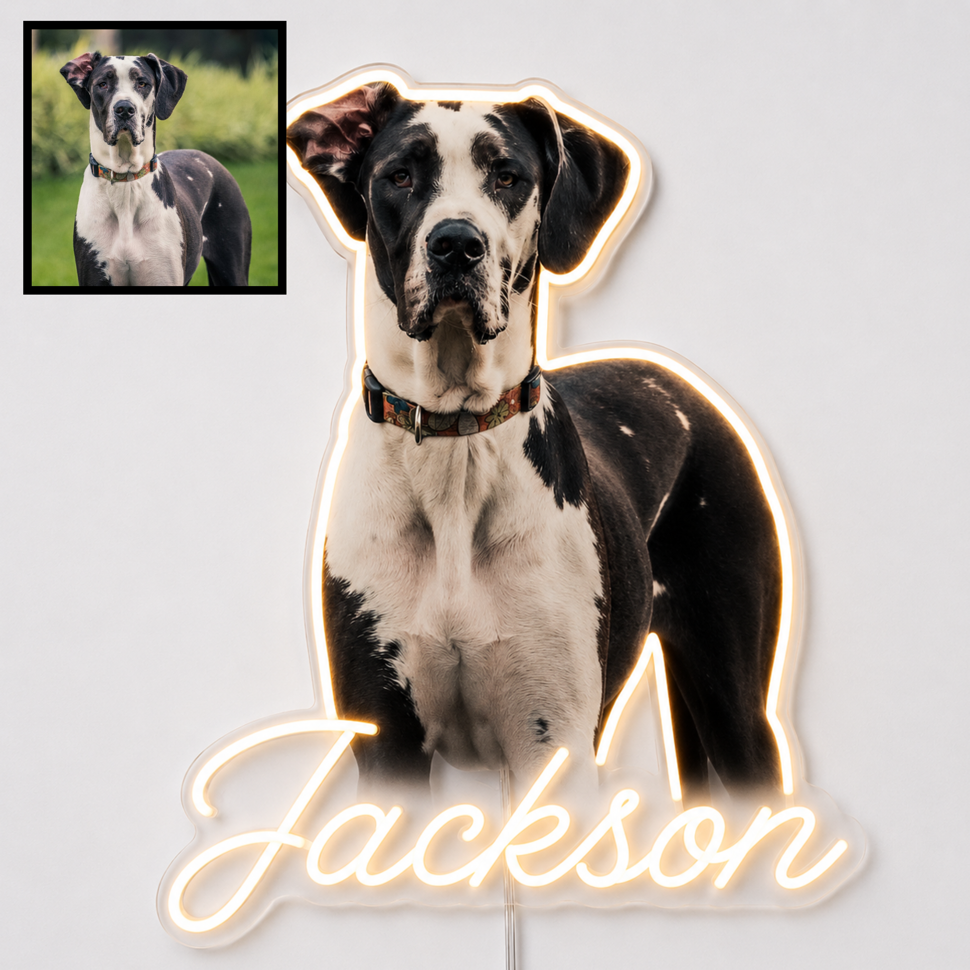 Custom dog name neon sign example featuring a Great Dane design