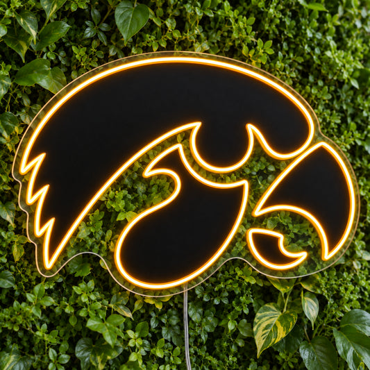 Iowa Hawkeyes LED Neon Sign product photo 1