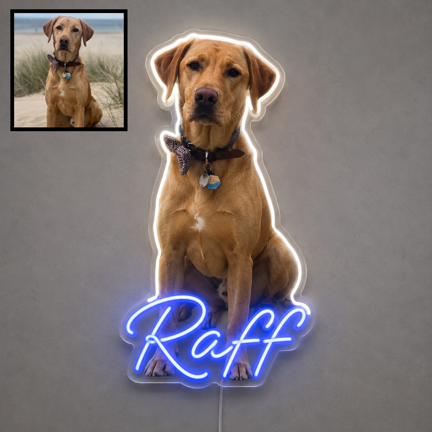 Custom dog name neon sign example featuring a Labrador design