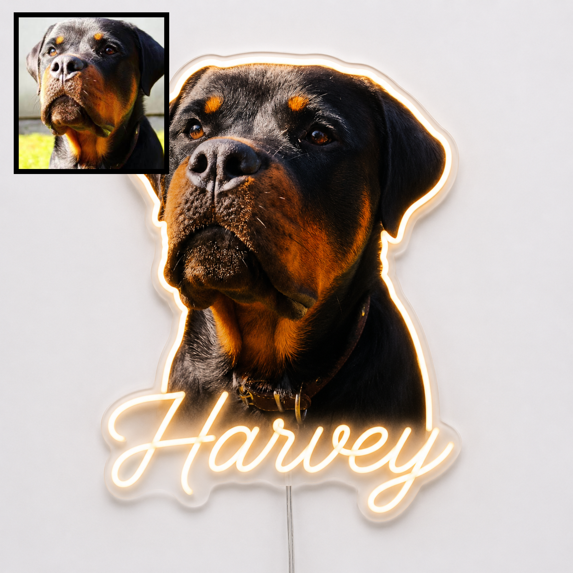 Custom dog name neon sign example featuring a Rottweiler design